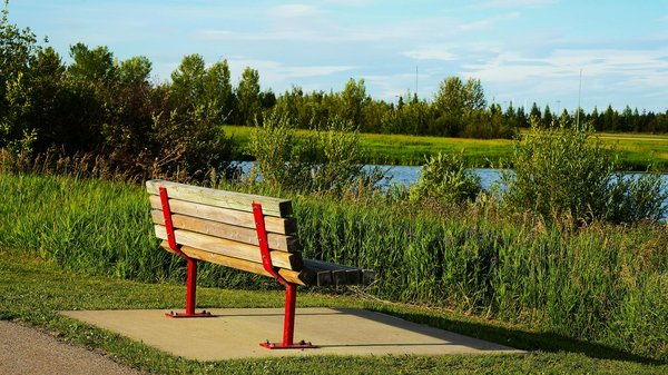 L'Ordre des médecins: une garantie pour le respect du serment d'Hippocrate?