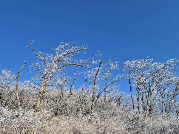 L'importance de l'éducation thérapeutique pour les patients diabétiques